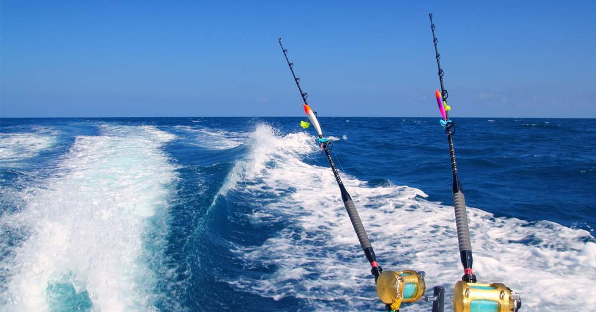 Fishing Experience in Okinawa, Japan Klook